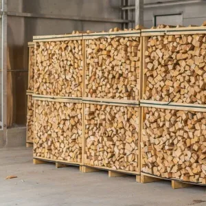 Beukenhout, 17,5 m³ – Ovengedroogd – Gebruiksklaar – Lengte van de houtblokken: 25 cm